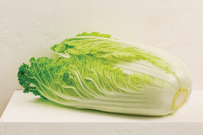 Imagem do glossário